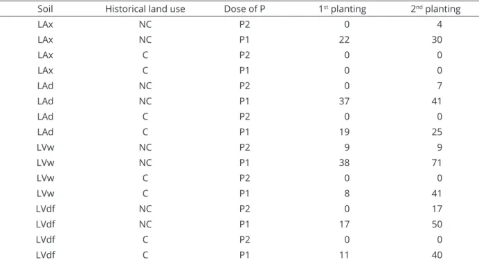 Table 4: Mycorrhizal colonization of Urochloa decumbens roots (%) as affected by historical land use and P doses  (1 st  and 2 nd  planting).