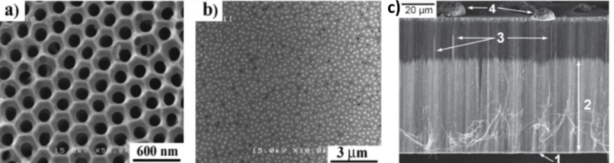 Figure 1.12  Scanning electron microscopy images of (a) highly ordered nanopores in PAA, [(b) and (c)] Bi 2 Te 3  nanowire array  in a PAA template: (b) top [39] and (c) cross-sectional [34] views