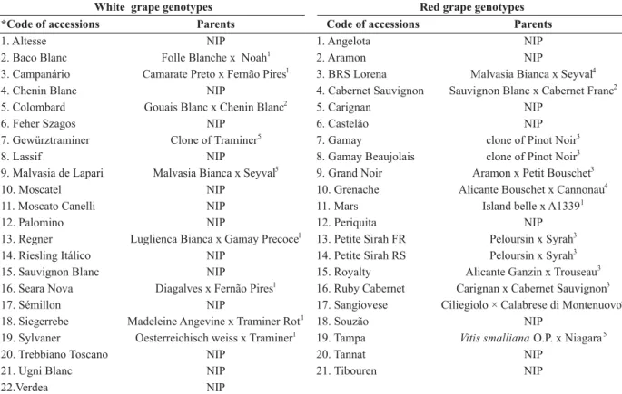 Table 1.  Identification of accessions of the grapevine genebank of Embrapa Tropical Semi-Arid