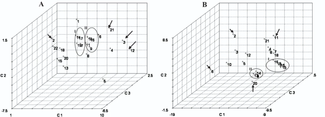 Figure 1. Dispersion diagram drawn from the component scores 1, 2 and 3 in the principal component analysis