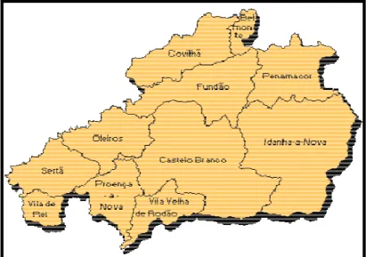 Figura 2 - A Região de Castelo Branco Fonte: http://portal2.bbdigital.pt.