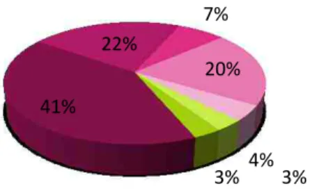 Figura 3- Percentagem de empresas clientes (fonte interna) 