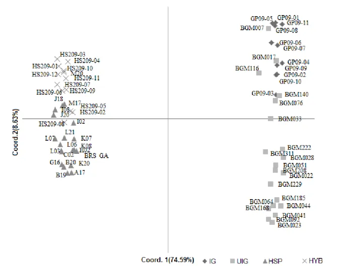 Figure 3. Principal Component Analysis of 63 accessions of P. edulis based on 23 ISSR primers