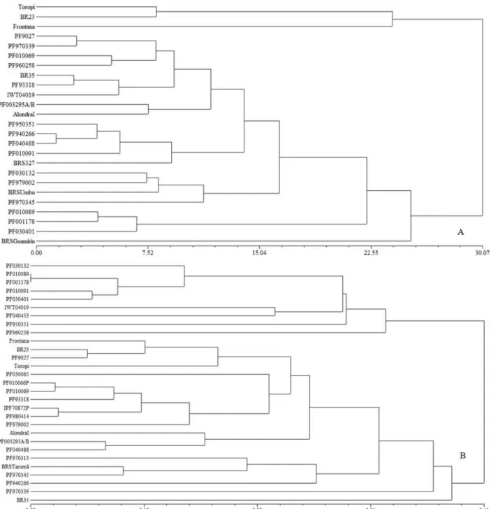 Figure 1. Genetic variability among the wheat genotypes analyzed. (A) Dendrogram of genetic variability using phenotypic data and the Euclidian  distance