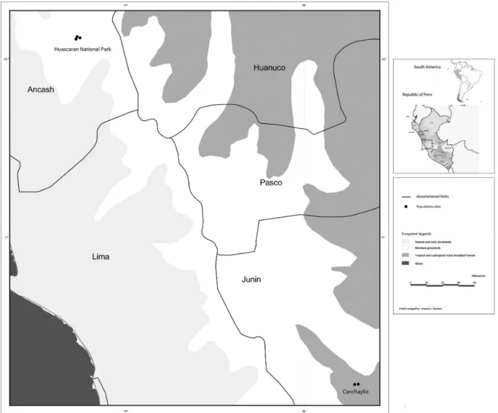 Figure 1. Map of studied populations. Collections were made from five Puya raimondii populations