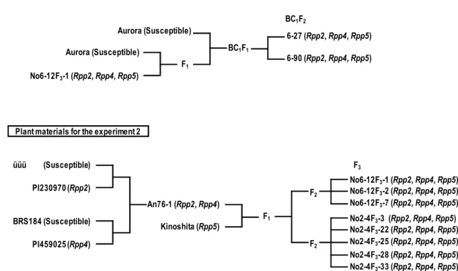 Figure 1. Pedigrees of soybean genotypes used for two kinds of experiments in this study