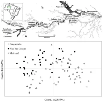 Figure 1. A. Map of the study area in the hydrographic basins of the Urucu  and Solimões rivers in Amazonas, Brazil, showing the sampled populations  of Astrocaryum jauari and the respective municipalities to which they  belong