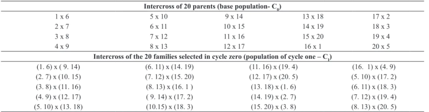 Table 1. Mating scheme to establish cycle zero (C 0 ) and cycle one (C I )