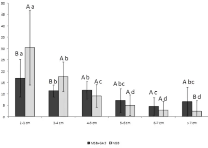 Figure 3. Effect of culture medium (MSB only or MSB supplemented  with GA 3  (10 µM)) on the regeneration rate (mean ± standard deviation)  of pineapple shoots in different classes of shoot height