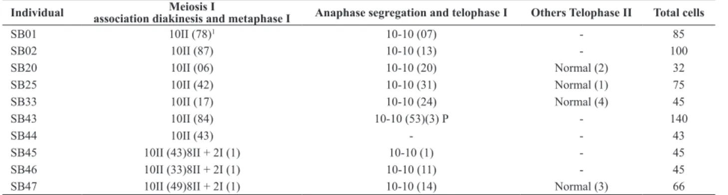Table 3. Analysis of the meiotic behavior of Elionurus muticus 