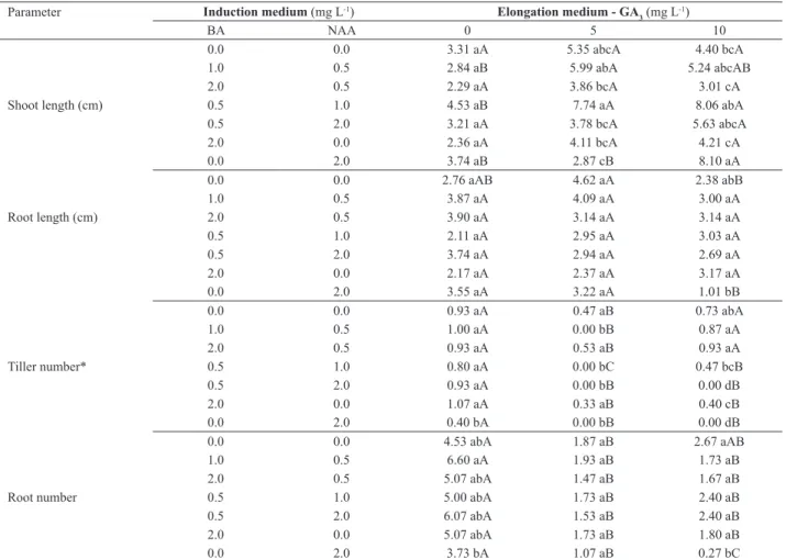 Table 3. Morphological parameters of Cyrtopodium saintlegerianum vitroplants obtained from protocorms cultivated on Knudson medium with dif- dif-ferent combinations of 6-benzylaminopurine (BA) and α-naphthaleneacetic acid (NAA), and transferred to Knudson 