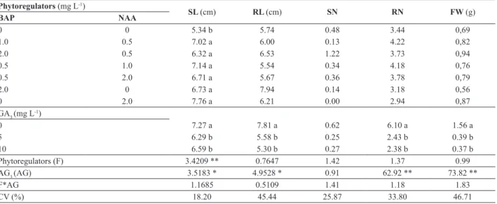 Table 4. Evaluation of acclimatized plants Cyrtopodium saintlegerianum, with 108 days of transplanting, resulting in induction of shoots protocorms  with different combinations of 6-benzylaminopurine (BA) and α-naphthalene acetic acid (NAA), and elongated 