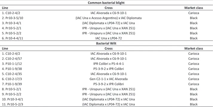 Table 3 . Common bean lines and their respective original crosses resistant to common bacterial blight (Xanthomonas axonopodis pv