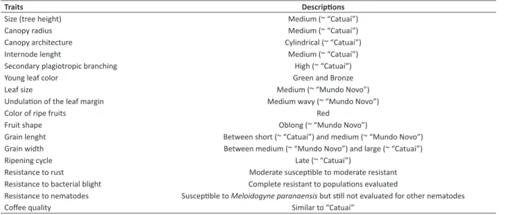 Table 3.  Morphological, physiological and agronomic traits of ‘IPR 102’ with the respective descriptions