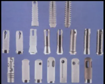 Figura 6. Componentes dos implantes  (Imagem de Misch, 2008). 