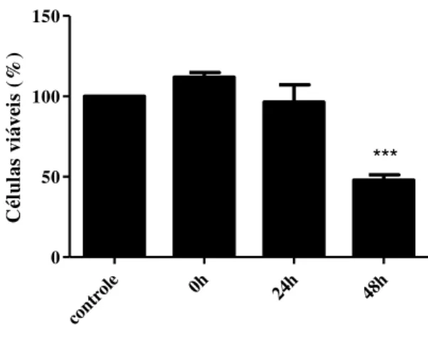 Figura 12.  Viabilidade de células H9c2 infectada com T. cruzi. Células H9c2  infectadas com Be-62 com tempos de interação de 0, 24 e 48 horas submetidas ao teste  de  MTT
