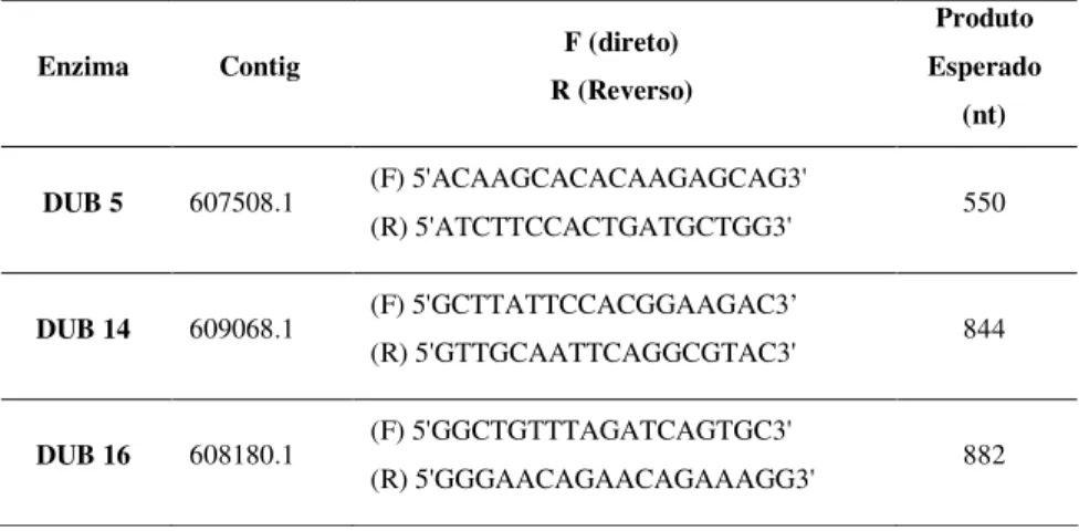 Figura  7  –  Extração  de  RNA  total  das  fases  evolutivas  de  S. 