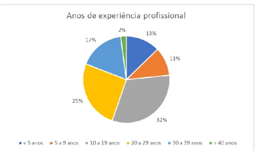 Gráfico 5 – Anos de experiência profissional 