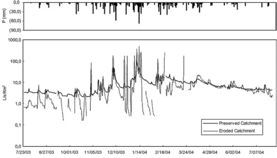 Fig. 5. Hydrograms for the study catchments.