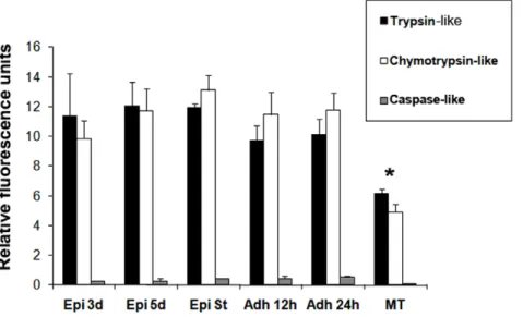 Figure 3. Proteasome proteolytic activity during T.cruzi metacyclogenesis in vitro. Peptidase activities were determined by fluorimetric quantification of the hydrolysis of specific fluorogenic substrates: trypsin-like (black bars), chymotrypsin-like (whit