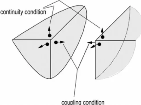 Fig. 4. Coupled subdomains and interface nodes (common and non-common ones).