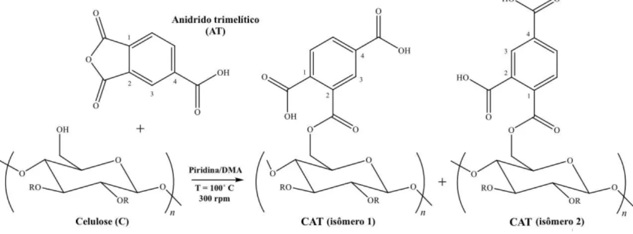 Figura 5.1 - Esquema da rota sintética usada para se obter o adsorvente CAT (R = H ou grupo trimelitato)