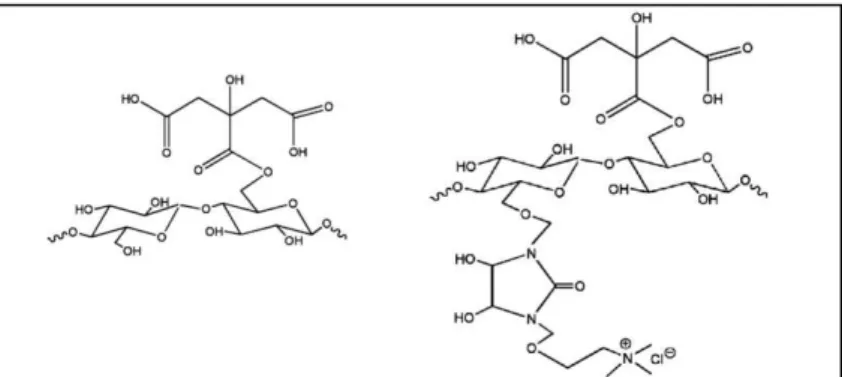 Figura 3.5: Estruturas da casca da soja modificada com (a) ácido cítrico e (b) ácido cítrico seguido de  dimetiloldihidroxietileno uréia (DMDHEU) e cloreto de colina