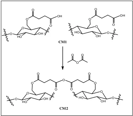 Figura 4.2: Formação do anidrido de ácido carboxílico a partir de CM1. 