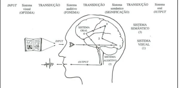 Figura 1.7 – Processo da leitura (FONSECA, V., 2008) 