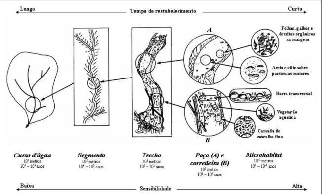 Figura 1.1 - Organização hierárquica dos sistemas fluviais, proposta por Frissell et al