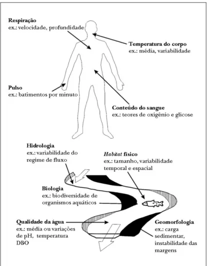 Figura 1.2 - Analogia entre as ferramentas de diagnóstico para  avaliação da saúde de um homem e de um rio