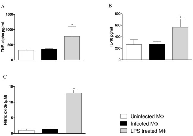 Figure 5:  L amazonensis  does not alter cytokine and NO production. Resident cells were collected from naïve  C57BL/6 mice and rested for 72hrs prior to infection