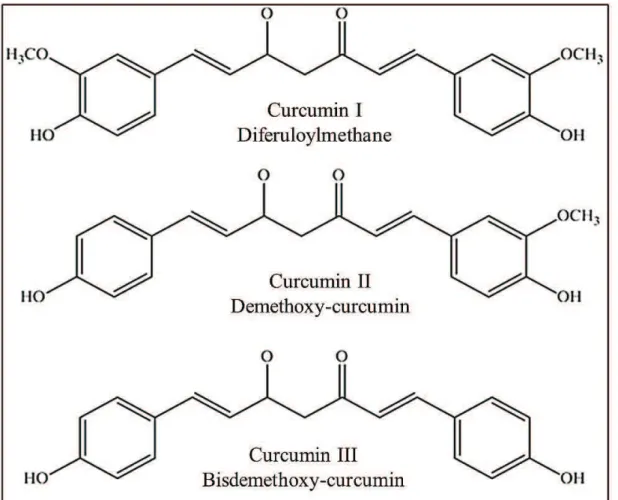 Figure 2:  Structural formulae of Curcumin I (Diferuloylmethane), Curcumin II (Demethoxy-curcumin) and Curcumin  III (Bisdemethoxy-curcumin).