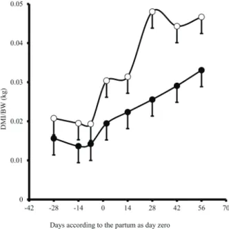 Figure 1: Dry matter intake (DMI)/kg of body weight (BW)  of dairy cows fed diets containing high (○) or low (●) grain  content pre-partum