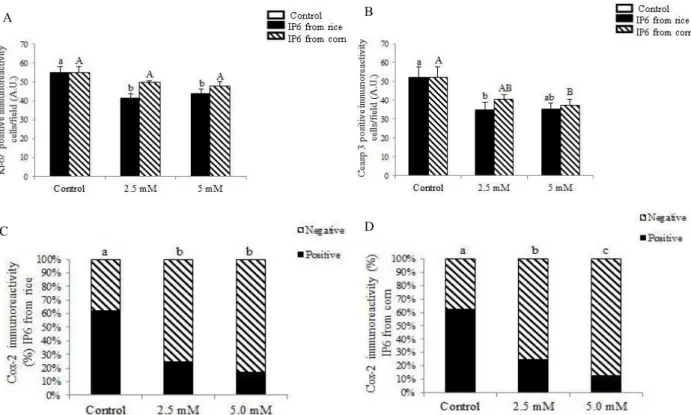 Figure 2 – Effect of IP6 from rice and corn on jejunum explants cellular proliferation, apoptosis and Cox-2  expression