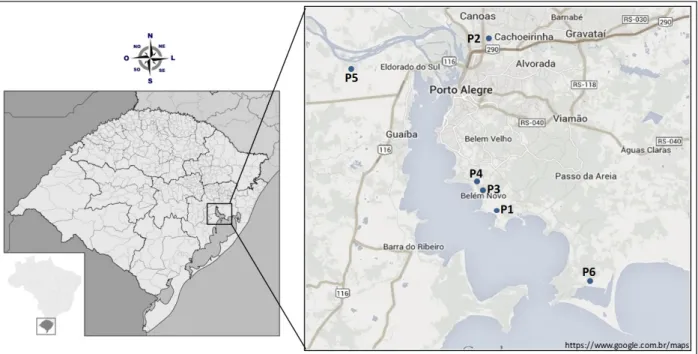 Figure 1: Location of the soil profiles studied: P1 (cambisolic Eutrophic Ta Haplic Gleysol), P2 (cambisolic Dystrophic  Ta  Haplic  Gleysol),  P3  (neofluvisolic  Eutrophic  Ta  Haplic  Gleysol),  P4  (solodic  Haplic  Eutrophic  Planosol),  P5  (plinthos