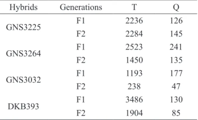 Table  1: Total  of  seeds  obtained  (T)  and  quantities  of  seeds  classified  as  haploids  selected  by  the  R1-Navajo  morphologic  marker  (Q)  from  different  hybrids  and  generations of maize
