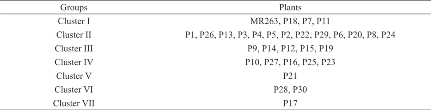 Table 3: Groups of 30 blast resistant plants with MR263 based on 10 yield and yield according to cluster analysis.