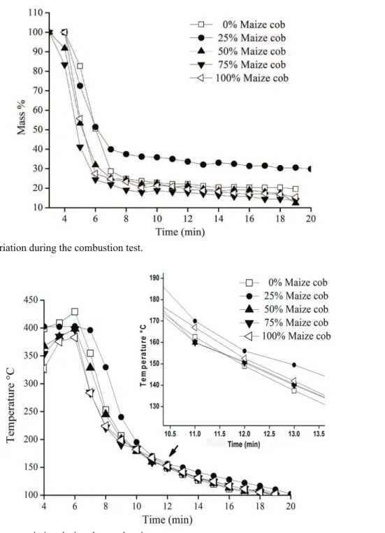 Figure 1:  Mass variation during the combustion test.