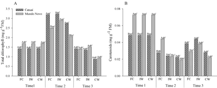 Figure 1: Total chlorophyll (A) and carotenoid (B) levels in Catuaí and Mundo Novo cultivars submitted to FC (field  capacity); IW (intermittent waterlogging); CW (continuous waterlogging)