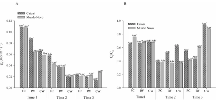 Figure 5: Stomatal conductance - g s  (A) and the ratio between intercellular and atmospheric CO 2  - Ci/Ca (B) of Catuaí  and Mundo Novo cultivars submitted to FC (f ield capacity); IW (intermittent waterlogging) or CW (continuous  waterlogging)