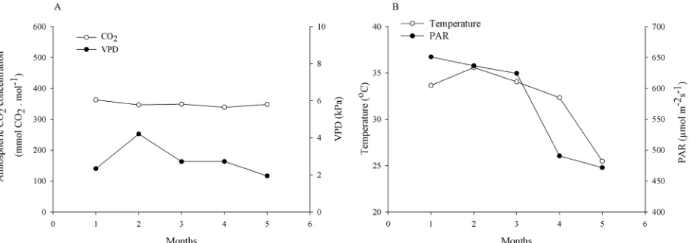 Figure 7: Atmospheric CO 2  concentration, VPD (vapor pressure deficit), temperature and photosynthetically active  radiation (PAR) during the experimental period.