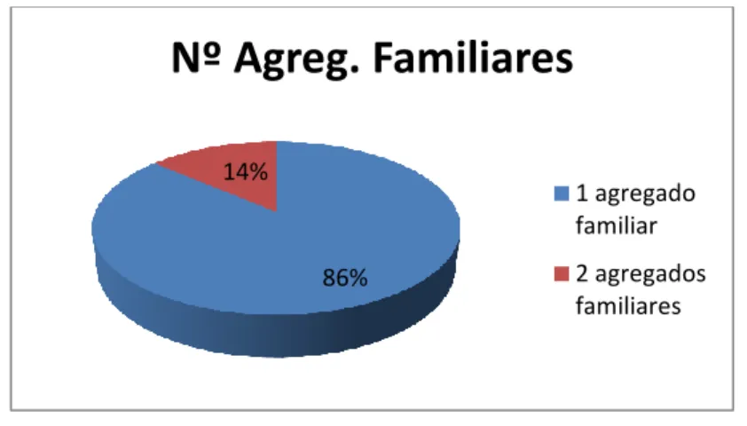 Gráfico 5 - Número de Agregados Familiares 