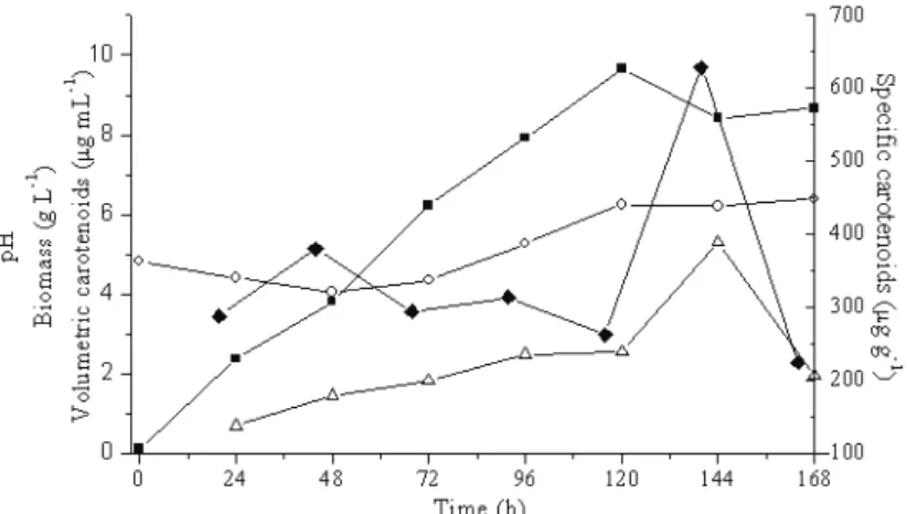 Figure 4: Bioproduction of carotenoids by P. rhodozyma NRRL Y-17268 using culture medium with 16.25 g L -1  malt  extract, 8.75 g L -1  peptone, 15 g L -1  sucrose and 87.5 g L -1  rice parboiling wastewater (trial 2 in Table 3) at 25 ºC and  150 rpm