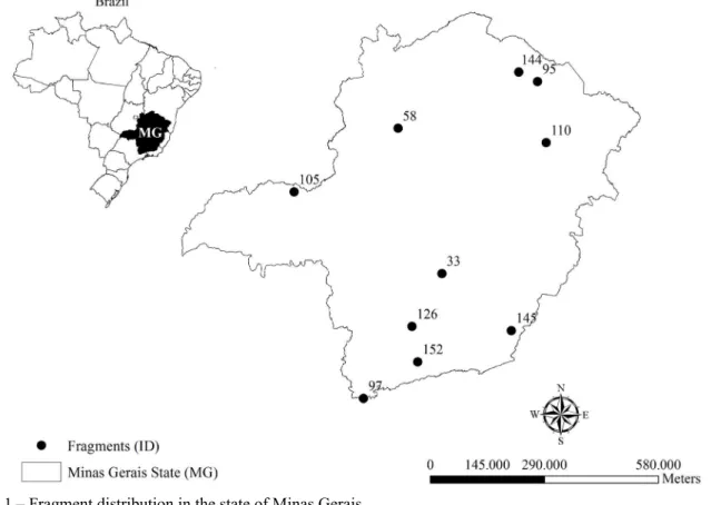 Figure 1 – Fragment distribution in the state of Minas Gerais.
