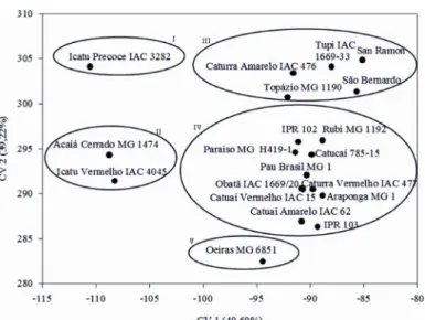 Figure 2 – Scores plotted along the first and second canonical variable axes (CV 1 and CV 2) for the 15 traits  studied in 20 cultivars of arabica coffee grown in nutrient solution with low potassium rate (1.5 mmol L -1 ).
