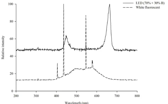 Figure 1: Spectral characteristics of lamps used as a light source for the germination of Genipa americana seeds  stored in growth chambers