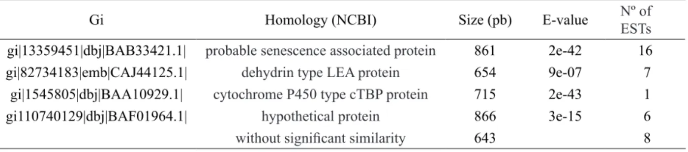 Table 1 – Genes expressed in roots of sick plants and absent in healthy plants, gi: gene index indicating name of EST,  the homology of that sequence with the NCBI (National Center for Biotechnology Information  - http://www.ncbi.