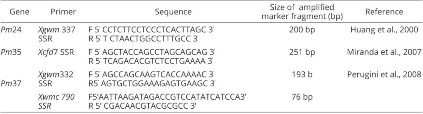Table 4: Powdery mildew genes, primers, their sequence and size of amplified fragment used in this study.