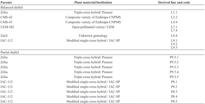 Table 1. Relation of parental lines from which popcorn lines were derived for the balanced diallel of popcorn, using method 4 of Griffing and in the  diallel proposed by Griffing, adapted for partial diallels